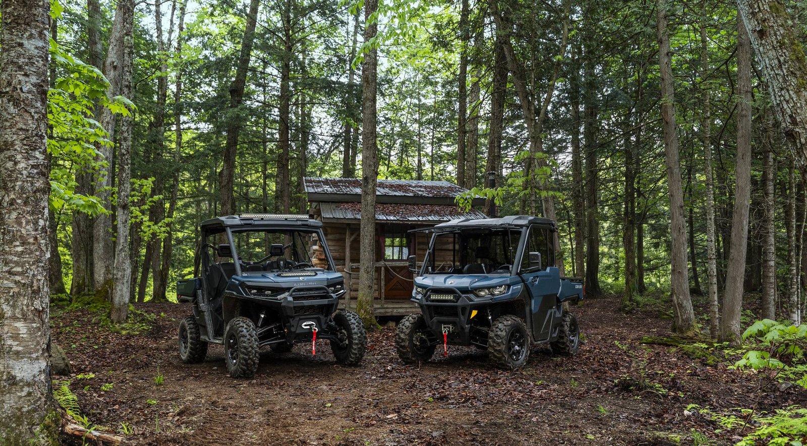 Côte-à-côte devant un camp en forêt de la Haute-Mauricie