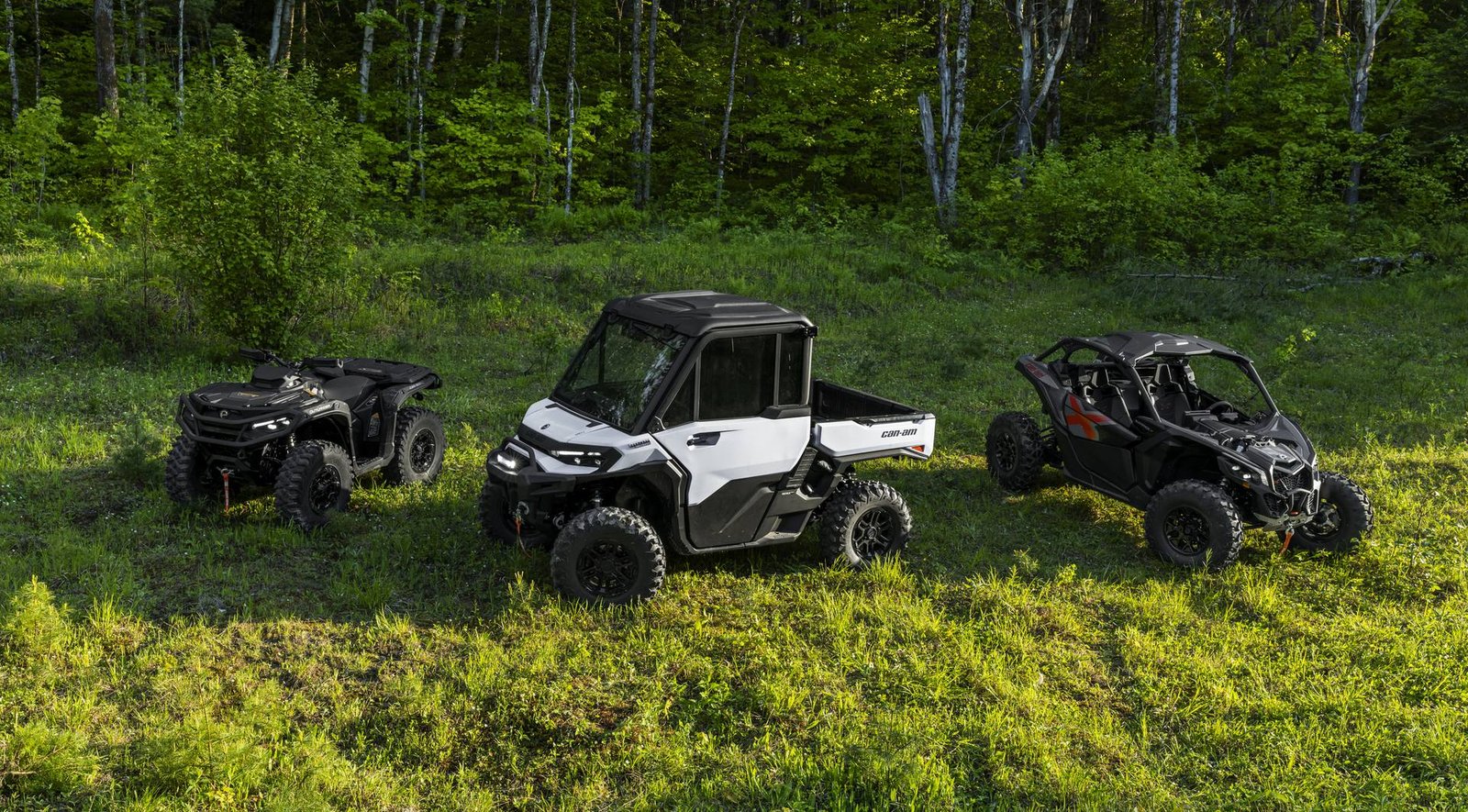VTT et côte-à-côte réunis dans une clairière