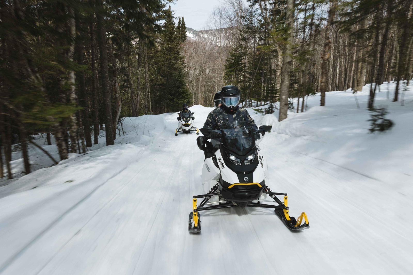 Deux motoneiges Ski-Doo en pleine vitesse sur un sentier bordé de forêt enneigée